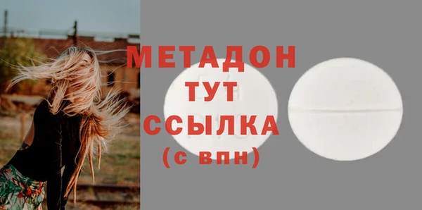 ПСИЛОЦИБИНОВЫЕ ГРИБЫ Апатиты