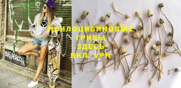 твердый Михайловск