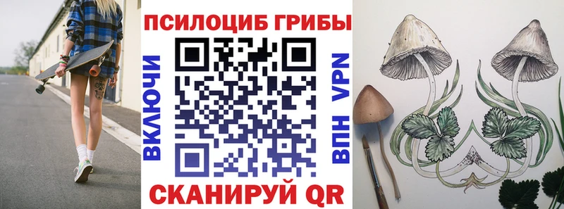 Псилоцибиновые грибы Psilocybe  Советск 