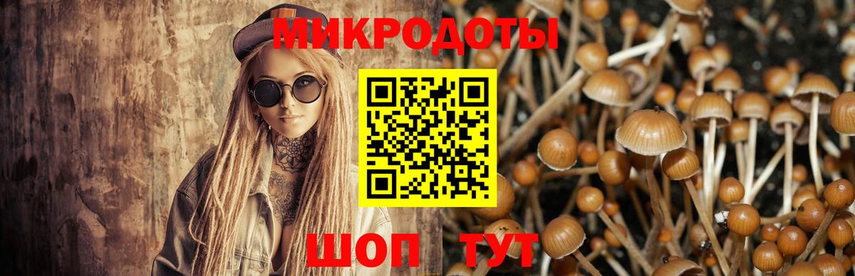 Псилоцибиновые грибы GOLDEN TEACHER  Вход с VPN  где купить   Советск 