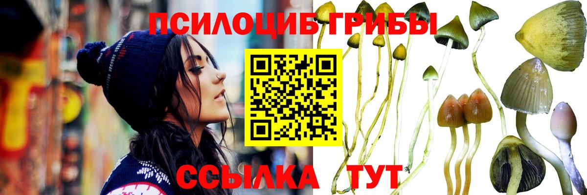 Псилоцибиновые грибы Magic Shrooms Советск